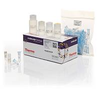 Набор GeneJET Plasmid Miniprep для выделения плазмидной ДНК из бактерий
